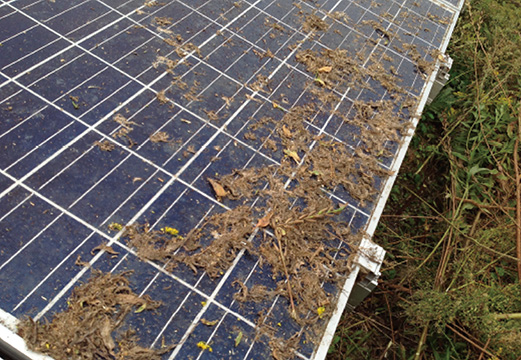 パネルの汚れ事例2